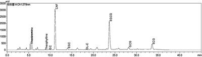 Investigating the antidepressant effect of Ziyan green tea on chronic unpredictable mild stress mice through fecal metabolomics